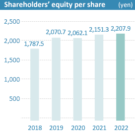 Shareholder's equity per share