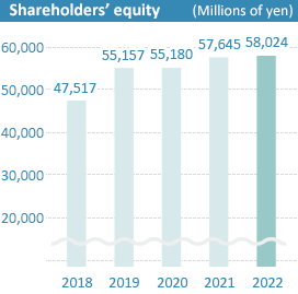 Shareholder's equity